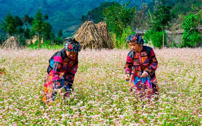 Du lịch Hà Giang