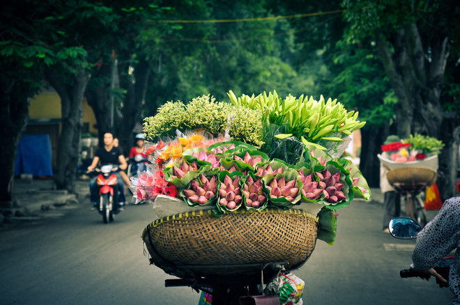 Nỗi nhớ Hà Nội