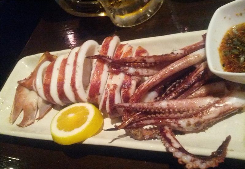 Câu mực Cửa Lò