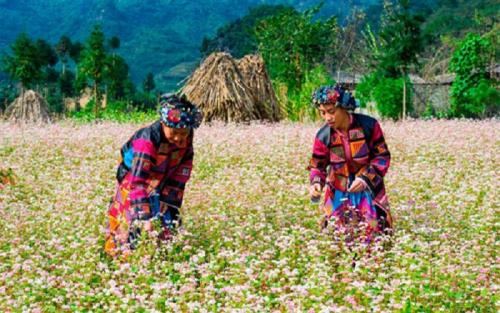 Du lịch Hà Giang
